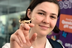 Questacon-with-stick-insect