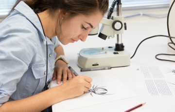 Lab visit - STEM plus nature art