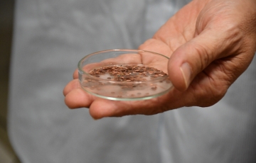 Lab visit - microscopes