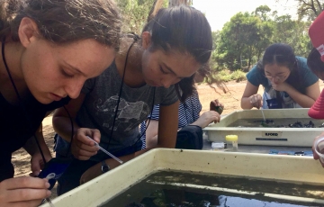 National Youth Science Forum