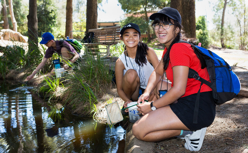 NYSF students collecting samples from a lake