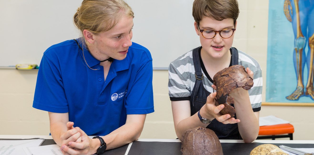 Girls looking at various skulls as part of the STEM Explorer program