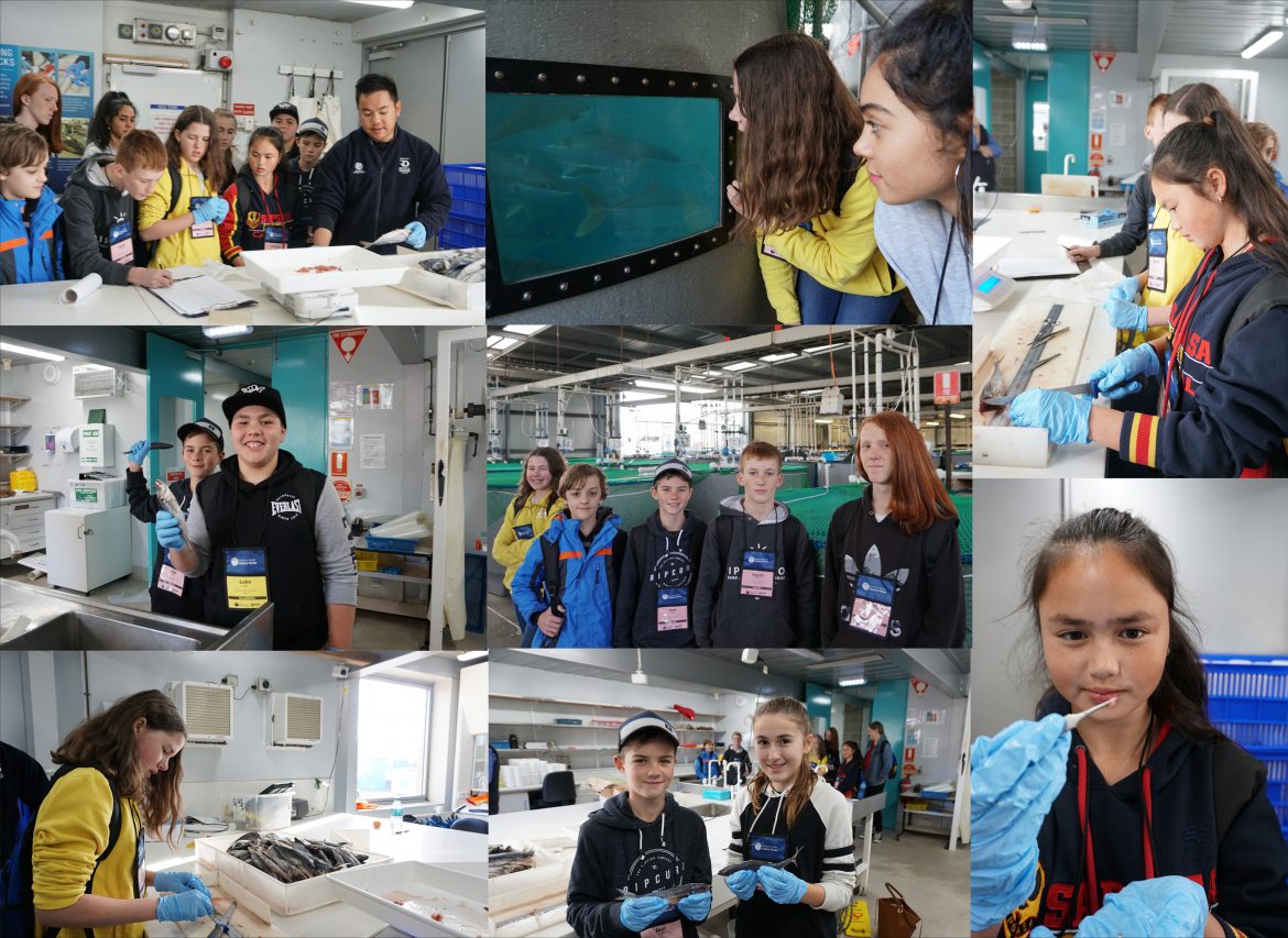 STEM Explorer, South Australian Aquatic Sciences Centre