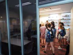 Curie and Cornforth groups at UQ's Pharmacy Centre of Excellence (PACE)