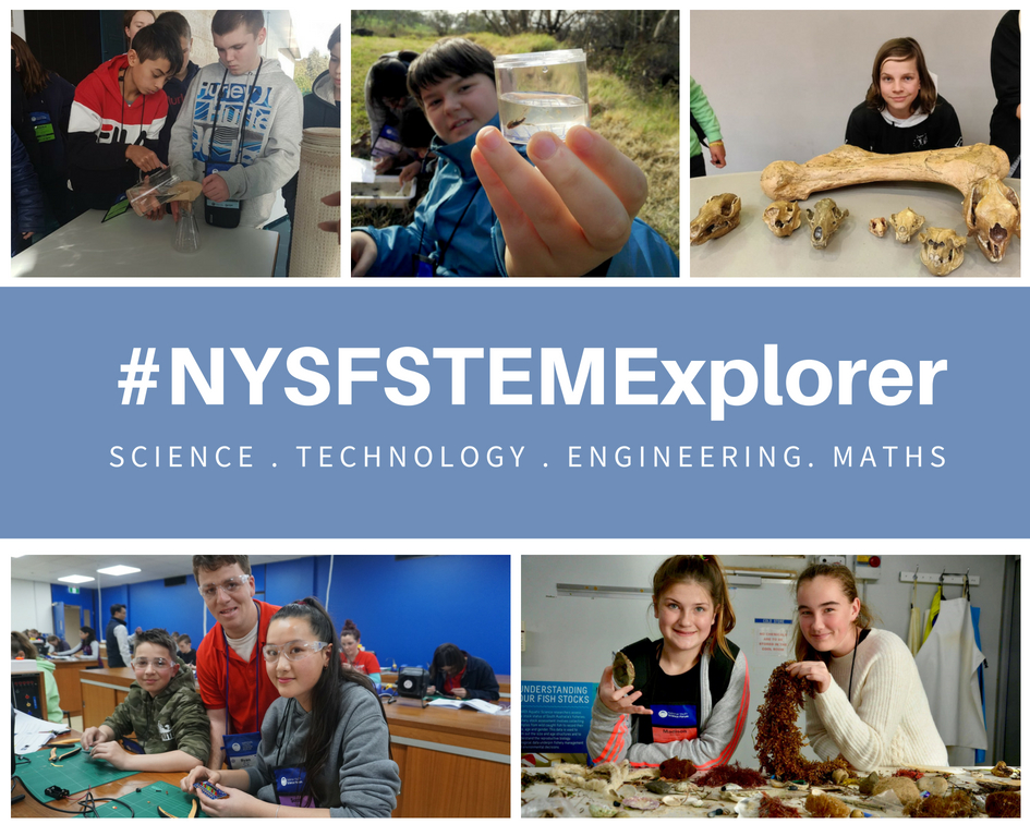 From bones to electrical circuits – NYSF STEM Explorer 2018 Day 2 - content image