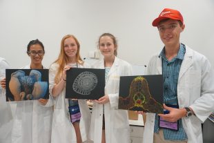 Session A NYSF 2019 – It’s a wrap!