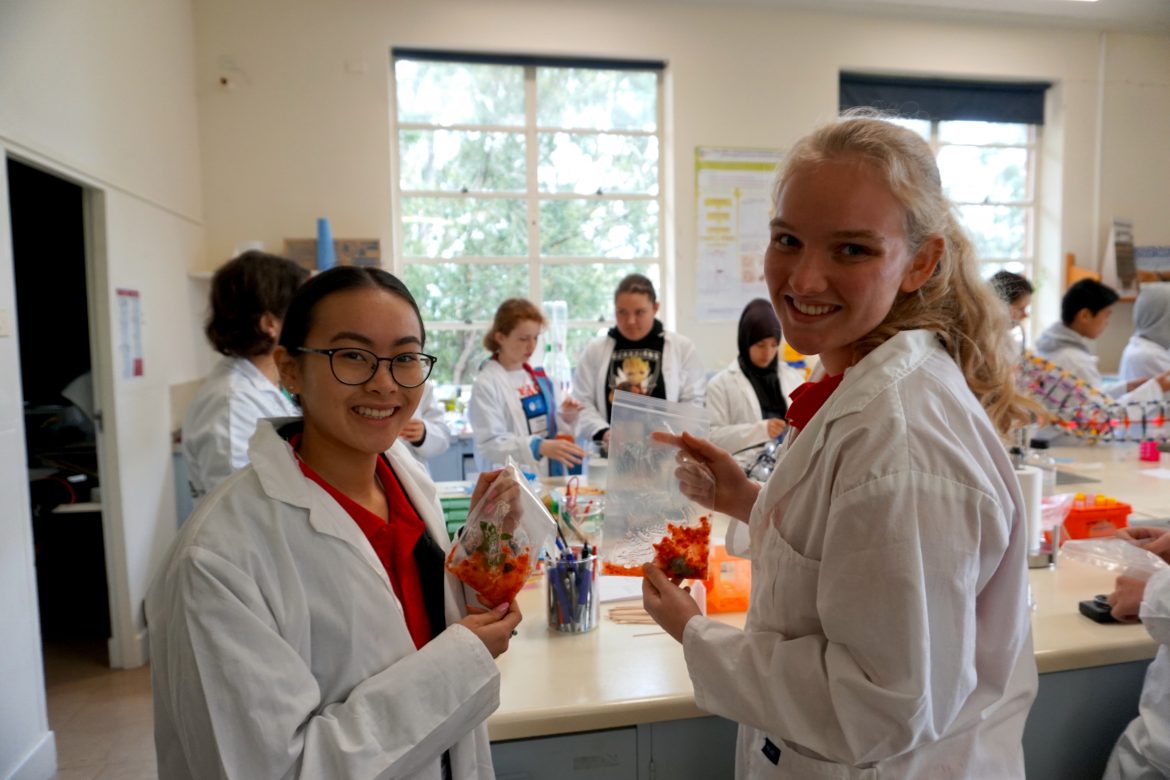 A Shout Out to our 2019 STEM Explorer Youth Advisors - content image