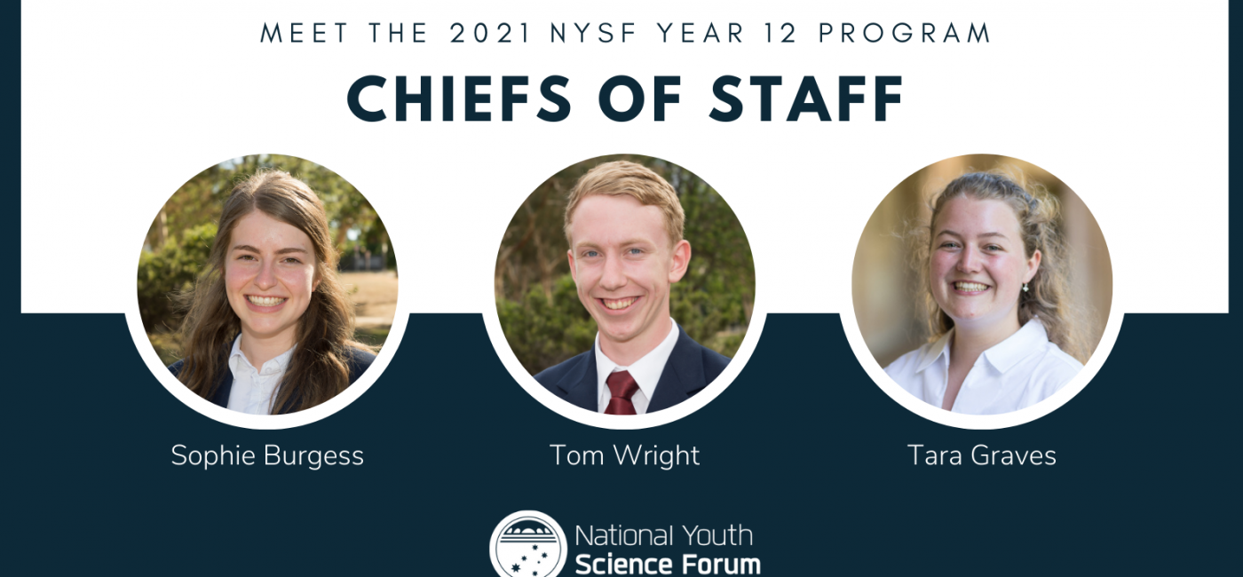 Meet the 2021 NYSF Chiefs of Staff - feature image, used as a supportive image and isn't important to understand article