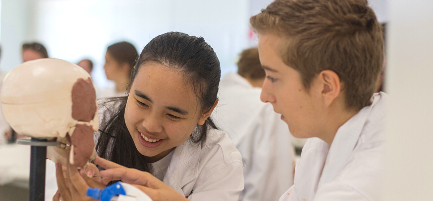 Two students are looking at a model of a human skull