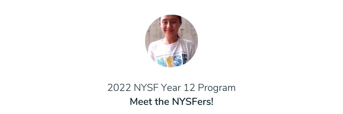 Connecting to community at NYSF with Mahsa - feature image, used as a supportive image and isn't important to understand article