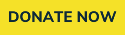 Donate Now - content image